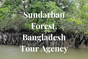 Sundarban-Forest-Bangladesh-Tour -agency-in-khulna-Bangladesh