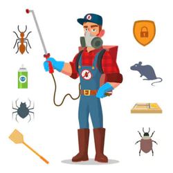 All Out Pest Control & Cleaning Service