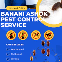 Banani Ashok Pest Control and Cleaning Service