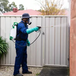 Best Pest Control Service