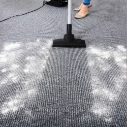 Eco Clean Carpet Cleaning