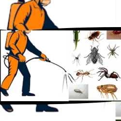 Pest Control