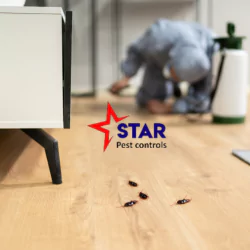 Star Pest Control