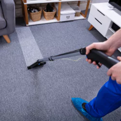 Steam Green Carpet Cleaning Company