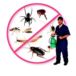 Tejgaon Pest Control Service