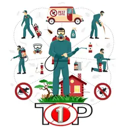 Top One Services | Cleaning Service Company in Bangladesh