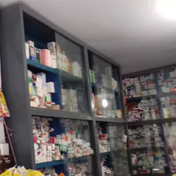 P.N. Pharmacy