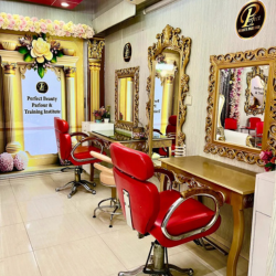 Perfect Beauty Parlour